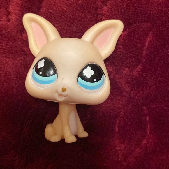 Littlest Pet Shop Chihuahua (#837) Pet (clothing not included) - Picture 2 of 7